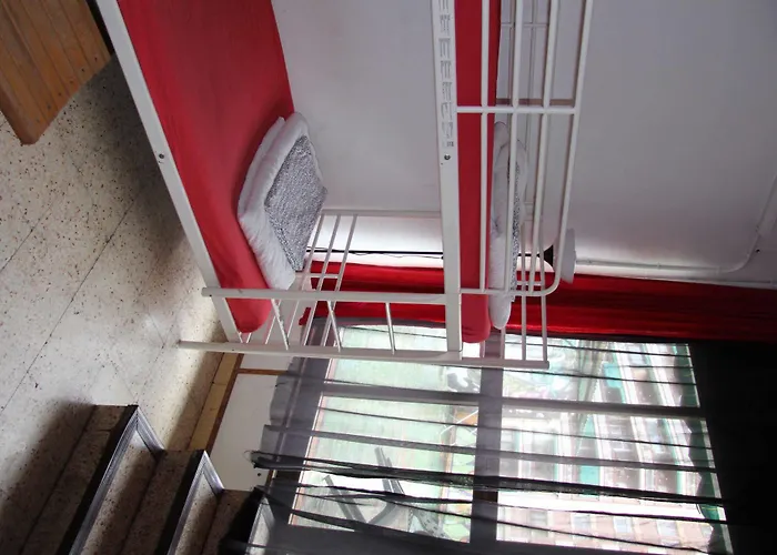 Hostel No Limit Graffiti *